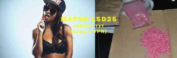прущие грибы Алзамай