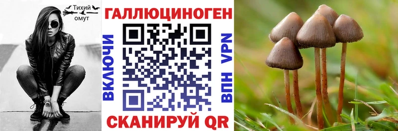 Купить где  Новосибирск  Галлюциногенные грибы MAGIC MUSHROOMS 