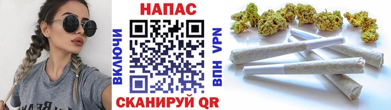 Конопля конопля  Купить закладки  Новосибирск 